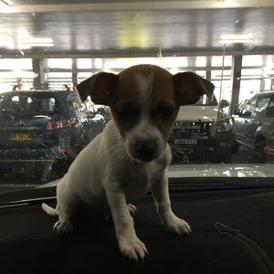 Meet your Posher, Hannah